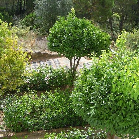 Apartamento Los Naranjos Benahavís Rom bilde